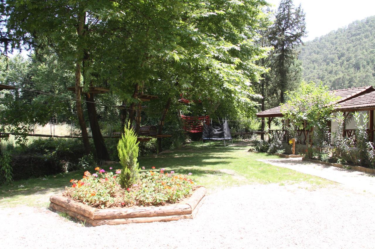 Eco Family Park Ξενοδοχείο Beskonak Εξωτερικό φωτογραφία
