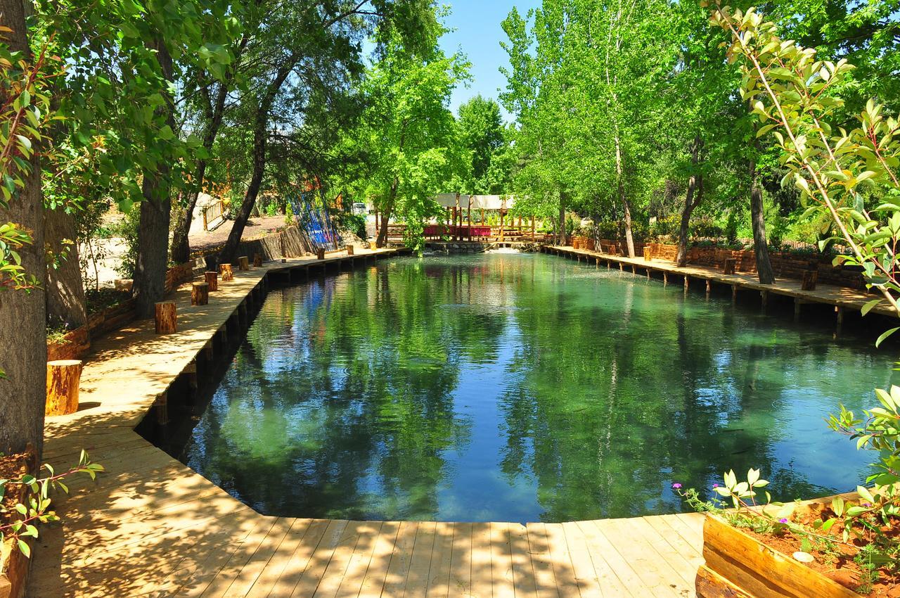 Eco Family Park Ξενοδοχείο Beskonak Εξωτερικό φωτογραφία