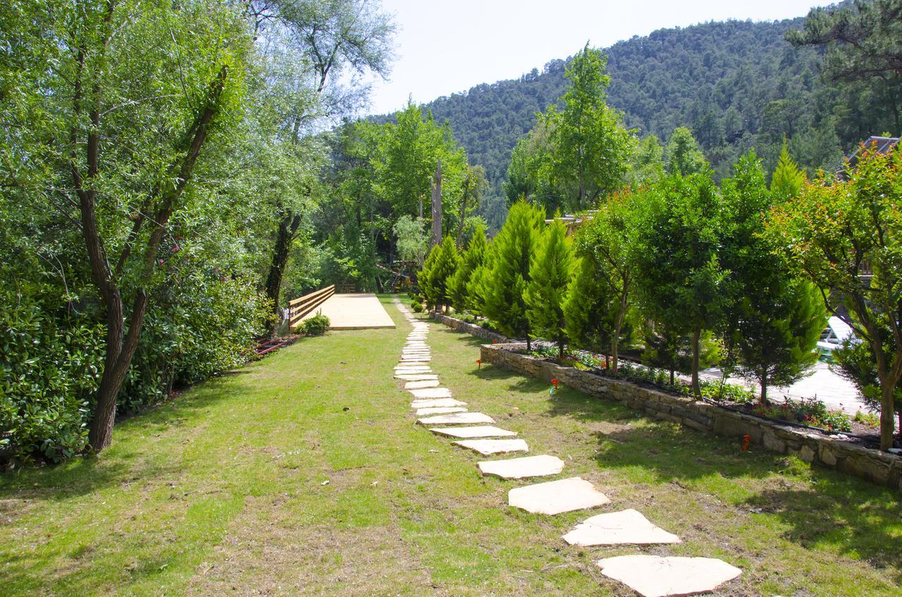Eco Family Park Ξενοδοχείο Beskonak Εξωτερικό φωτογραφία