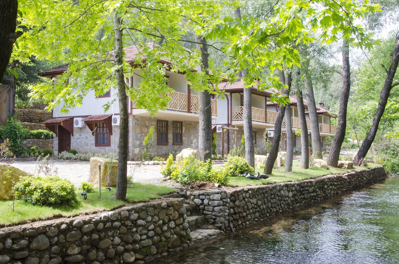 Eco Family Park Ξενοδοχείο Beskonak Εξωτερικό φωτογραφία