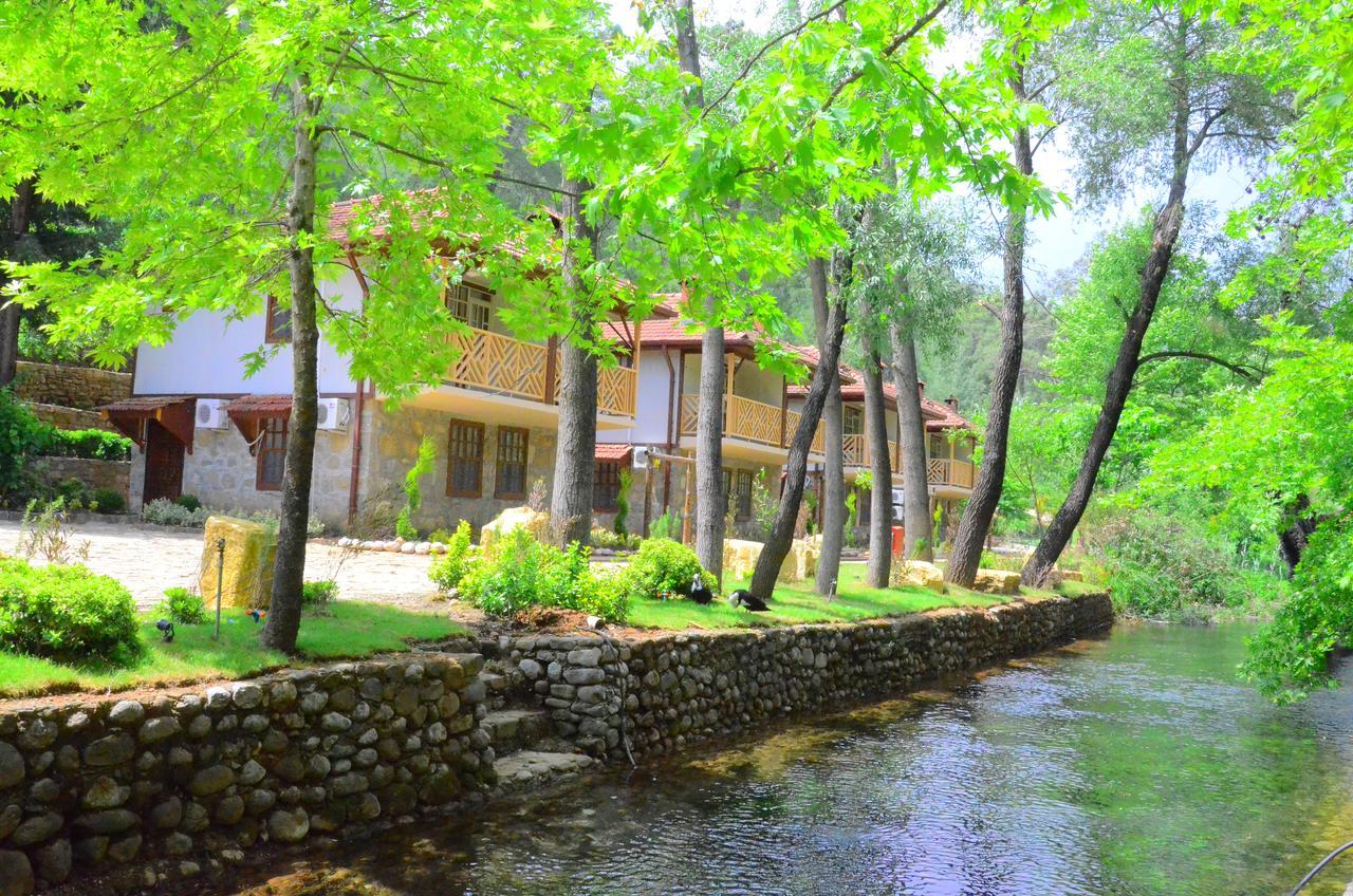 Eco Family Park Ξενοδοχείο Beskonak Εξωτερικό φωτογραφία